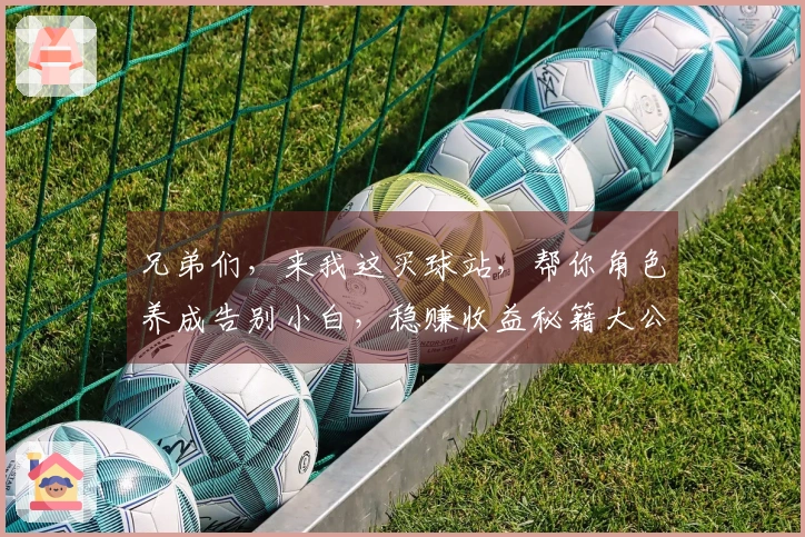 兄弟们，来我这买球站，帮你角色养成告别小白，稳赚收益秘籍大公开！