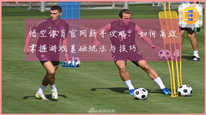 悟空体育官网新手攻略：如何高效掌握游戏基础玩法与技巧