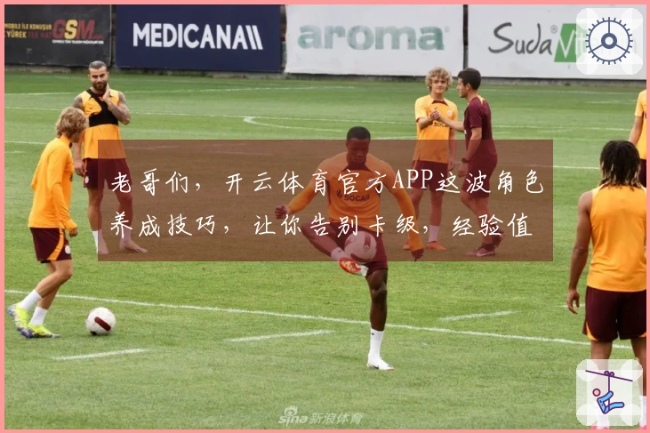 老哥们，开云体育官方APP这波角色养成技巧，让你告别卡级，经验值涨不停！