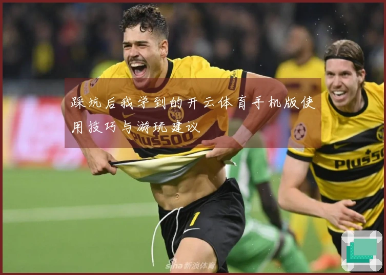 踩坑后我学到的开云体育手机版使用技巧与游玩建议